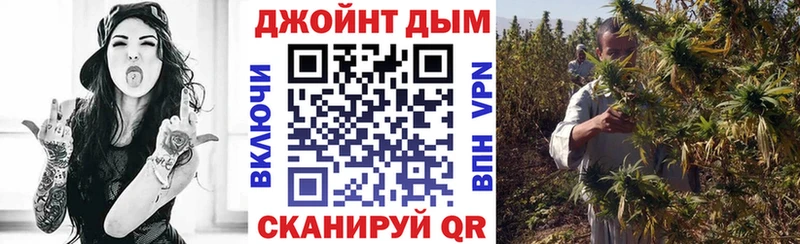 Купить закладку Гашиш  A-PVP  Меф мяу мяу  Конопля  Новомичуринск